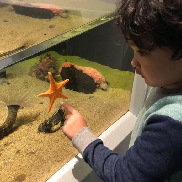 Meet your Posher, Carol - Picture 1 of 1